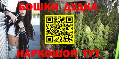 стаф Кандалакша