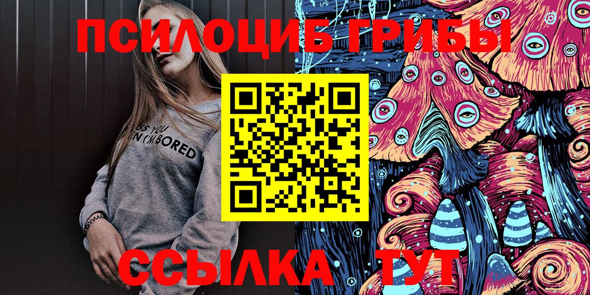 Псилоцибиновые грибы Геленджик