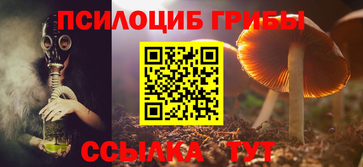 Геленджик  Галлюциногенные грибы прущие грибы  Галлюциногенные грибы GOLDEN TEACHER  Вход с VPN 